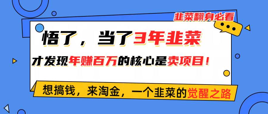 悟了，当了3年韭菜，才发现网赚圈年赚100万的核心是卖项目，含泪分享！创客之家-网创项目资源站-副业项目-创业项目-搞钱项目创客之家