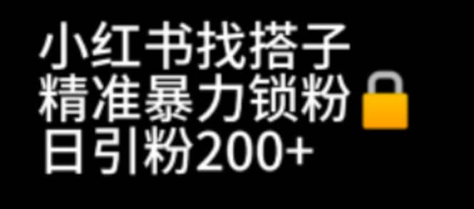 小红书找搭子暴力精准锁粉+引流日引200+精准粉创客之家-网创项目资源站-副业项目-创业项目-搞钱项目创客之家