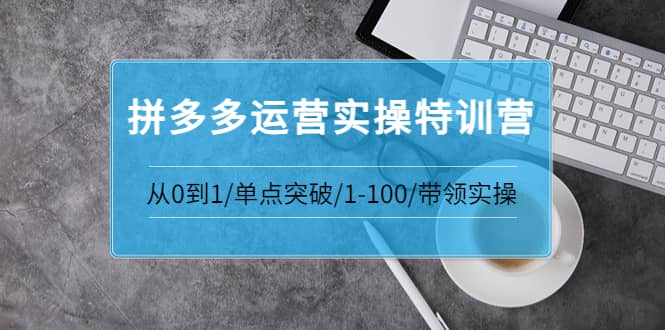 拼多多运营实操特训营：从0到1/单点突破/1-100/带领实操 价值2980元创客之家-网创项目资源站-副业项目-创业项目-搞钱项目创客之家