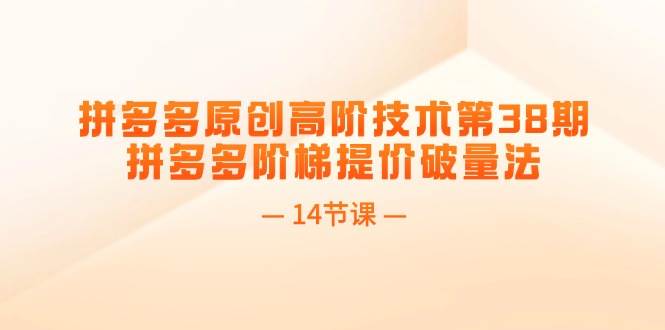拼多多原创高阶技术第38期，拼多多阶梯提价破量法（14节课）创客之家-网创项目资源站-副业项目-创业项目-搞钱项目创客之家