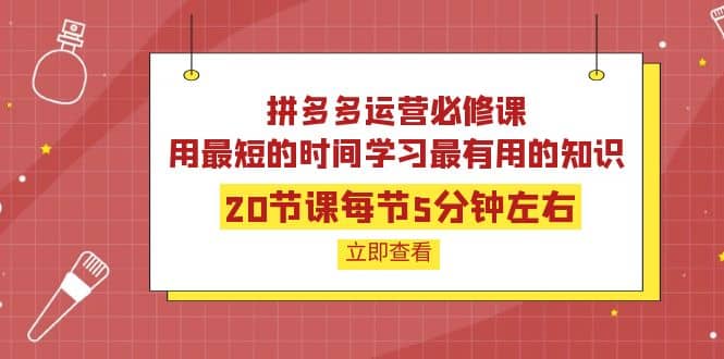 拼多多运营必修课：20节课每节5分钟左右，用最短的时间学习最有用的知识创客之家-网创项目资源站-副业项目-创业项目-搞钱项目创客之家