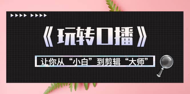 月营业额700万+大佬教您《玩转口播》让你从“小白”到剪辑“大师”创客之家-网创项目资源站-副业项目-创业项目-搞钱项目创客之家