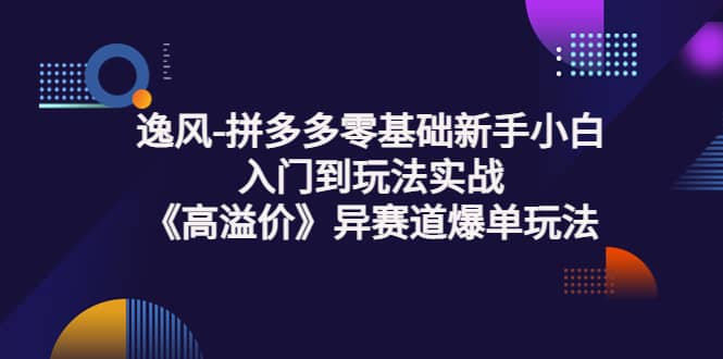 拼多多零基础新手小白入门到玩法实战《高溢价》异赛道爆单玩法实操课创客之家-网创项目资源站-副业项目-创业项目-搞钱项目创客之家