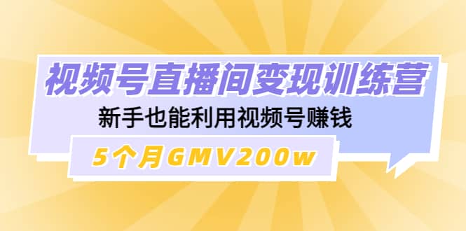 视频号直播间变现训练营创客之家-网创项目资源站-副业项目-创业项目-搞钱项目创客之家