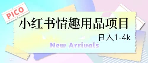 最新小红书情趣用品项目，日入1-4k创客之家-网创项目资源站-副业项目-创业项目-搞钱项目创客之家