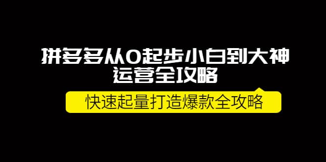 拼多多从0起步小白到大神运营全攻略创客之家-网创项目资源站-副业项目-创业项目-搞钱项目创客之家