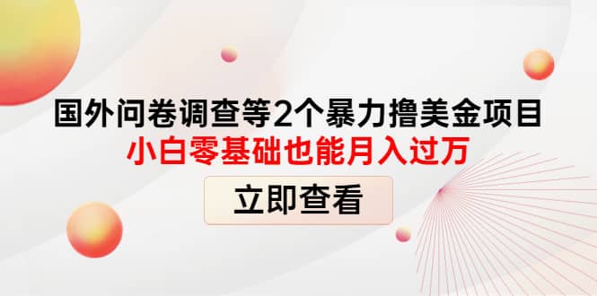 国外问卷调查等2个暴力撸美元项目，小白零基础也能月入过万创客之家-网创项目资源站-副业项目-创业项目-搞钱项目创客之家
