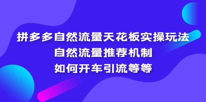 拼多多自然流量天花板实操玩法：自然流量推荐机制，如何开车引流等等创客之家-网创项目资源站-副业项目-创业项目-搞钱项目创客之家