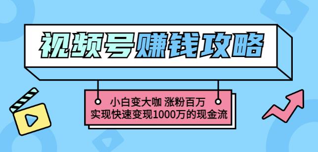 玩转微信视频号赚钱：小白变大咖涨粉百万实现快速变现1000万的现金流创客之家-网创项目资源站-副业项目-创业项目-搞钱项目创客之家
