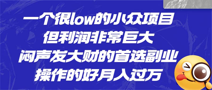 一个很low的小众项目，但利润非常巨大，闷声发大财的首选副业，月入过万创客之家-网创项目资源站-副业项目-创业项目-搞钱项目创客之家