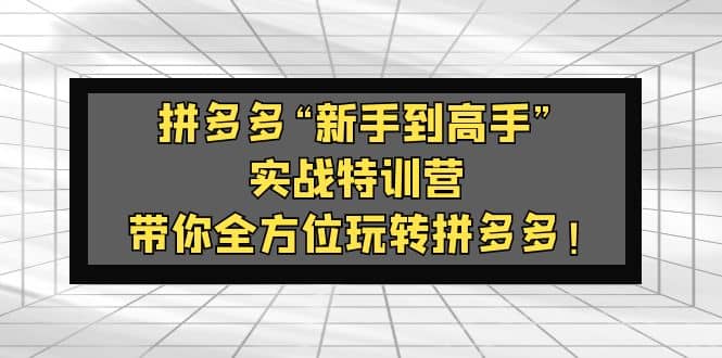 拼多多“新手到高手”实战特训营：带你全方位玩转拼多多创客之家-网创项目资源站-副业项目-创业项目-搞钱项目创客之家
