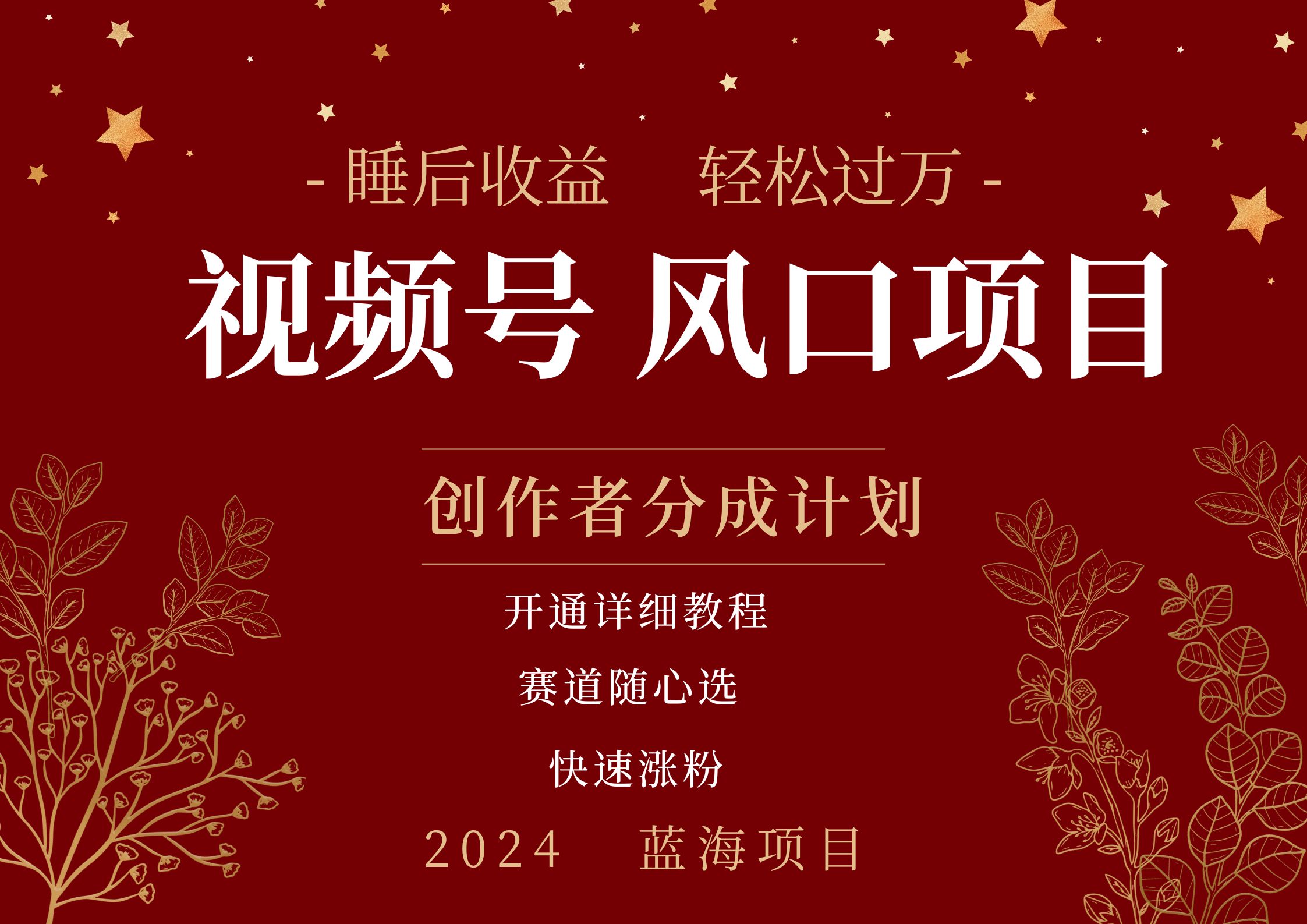 拥有睡眠收益的微信视频号大风口项目，轻松月入过万+，多赛道选择，可矩阵，玩法简单轻松上手创客之家-网创项目资源站-副业项目-创业项目-搞钱项目创客之家