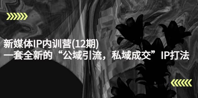新媒体IP内训营(12期)，一套全新的“公域引流，私域成交”IP打法，直接带走创客之家-网创项目资源站-副业项目-创业项目-搞钱项目创客之家