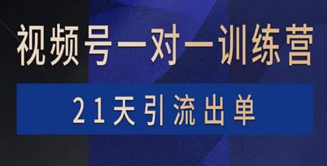 视频号训练营：带货，涨粉，直播，游戏，四大变现新方向，21天引流出单创客之家-网创项目资源站-副业项目-创业项目-搞钱项目创客之家