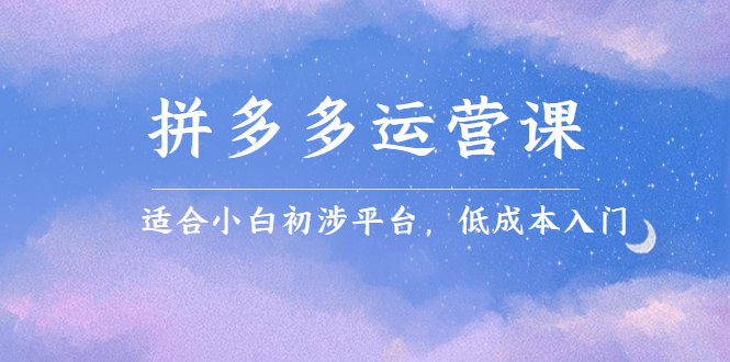 拼多多运营课，适合小白初涉平台，低成本入门创客之家-网创项目资源站-副业项目-创业项目-搞钱项目创客之家