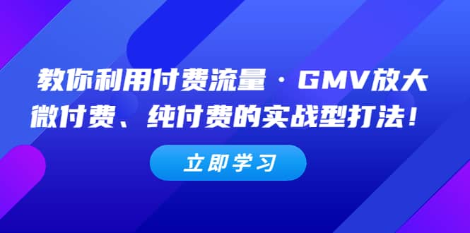 教你利用付费流量·GMV放大，微付费、纯付费的实战型打法创客之家-网创项目资源站-副业项目-创业项目-搞钱项目创客之家