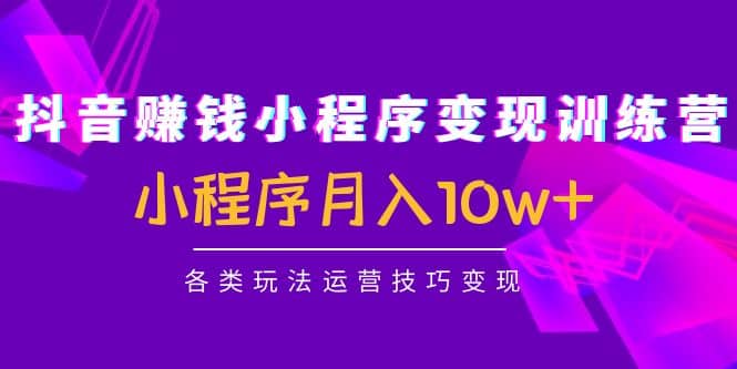 抖音小程序变现训练营：小程序各类玩法运营技巧变现创客之家-网创项目资源站-副业项目-创业项目-搞钱项目创客之家