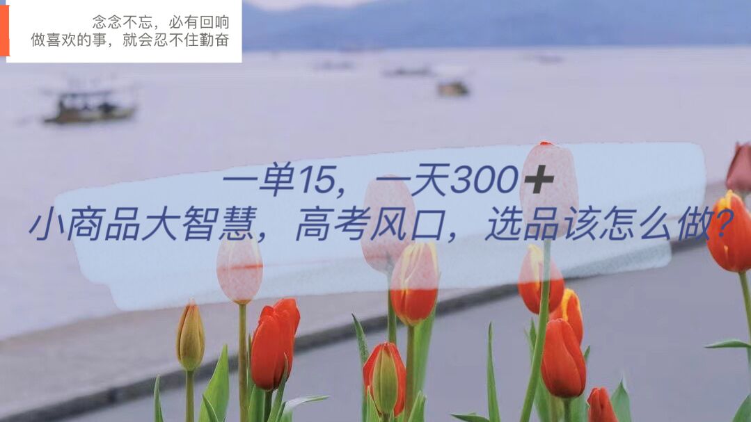 一单15，一天300+，小商品大智慧，高考风口，选品该怎么布局创客之家-网创项目资源站-副业项目-创业项目-搞钱项目创客之家