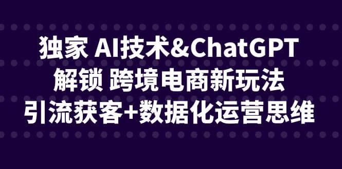 独家 AI技术ChatGPT解锁 跨境电商新玩法，引流获客+数据化运营思维创客之家-网创项目资源站-副业项目-创业项目-搞钱项目创客之家