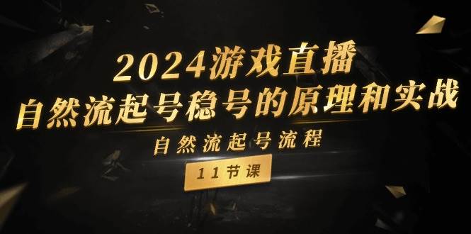 2024游戏直播-自然流起号稳号的原理和实战，自然流起号流程（11节）创客之家-网创项目资源站-副业项目-创业项目-搞钱项目创客之家