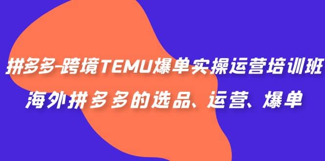 拼多多-跨境TEMU爆单实操运营培训班，海外拼多多的选品、运营、爆单创客之家-网创项目资源站-副业项目-创业项目-搞钱项目创客之家