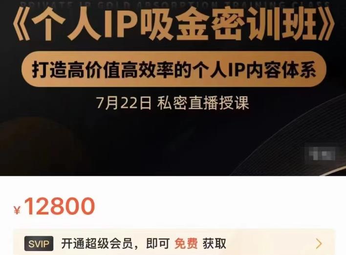 个人IP吸金密训班，打造高价值高效率的个人IP内容体系（价值12800元）创客之家-网创项目资源站-副业项目-创业项目-搞钱项目创客之家