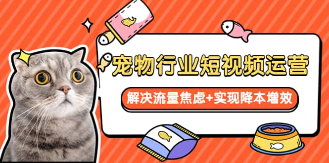 宠物/行业短视频运营 流量增长的一层窗户纸 解决流量焦虑+实现降本增效创客之家-网创项目资源站-副业项目-创业项目-搞钱项目创客之家