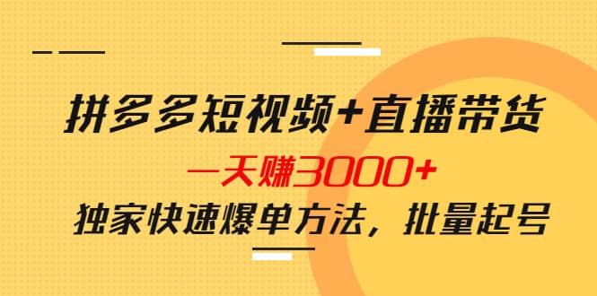拼多多短视频+直播带货，一天赚3000+独家快速爆单方法，批量起号创客之家-网创项目资源站-副业项目-创业项目-搞钱项目创客之家