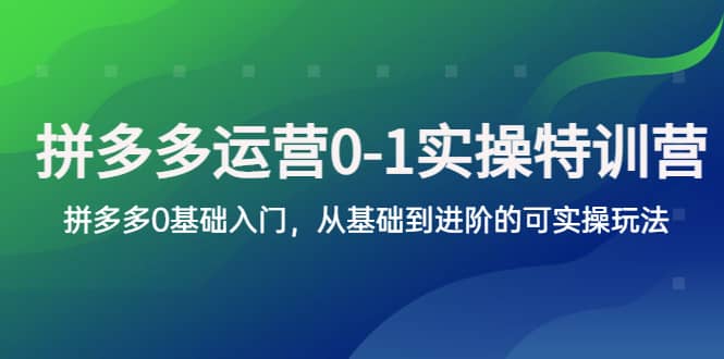 拼多多-运营0-1实操训练营，拼多多0基础入门，从基础到进阶的可实操玩法创客之家-网创项目资源站-副业项目-创业项目-搞钱项目创客之家