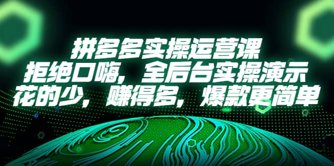 拼多多实操运营课：拒绝口嗨，全后台实操演示，花的少，赚得多，爆款更简单创客之家-网创项目资源站-副业项目-创业项目-搞钱项目创客之家