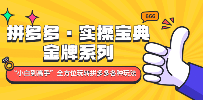 拼多多·实操宝典：金牌系列“小白到高手”带你全方位玩转拼多多各种玩法创客之家-网创项目资源站-副业项目-创业项目-搞钱项目创客之家