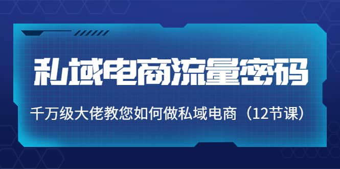 私域电商流量密码：千万级大佬教您如何做私域电商（12节课）创客之家-网创项目资源站-副业项目-创业项目-搞钱项目创客之家