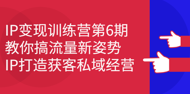 IP变现训练营第6期：教你搞流量新姿势，IP打造获客私域经营创客之家-网创项目资源站-副业项目-创业项目-搞钱项目创客之家