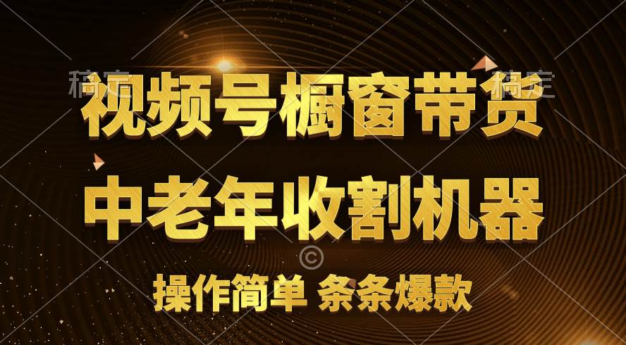 [你的孩子成功取得高位]视频号最火爆赛道，橱窗带货，流量分成计划，条…创客之家-网创项目资源站-副业项目-创业项目-搞钱项目创客之家
