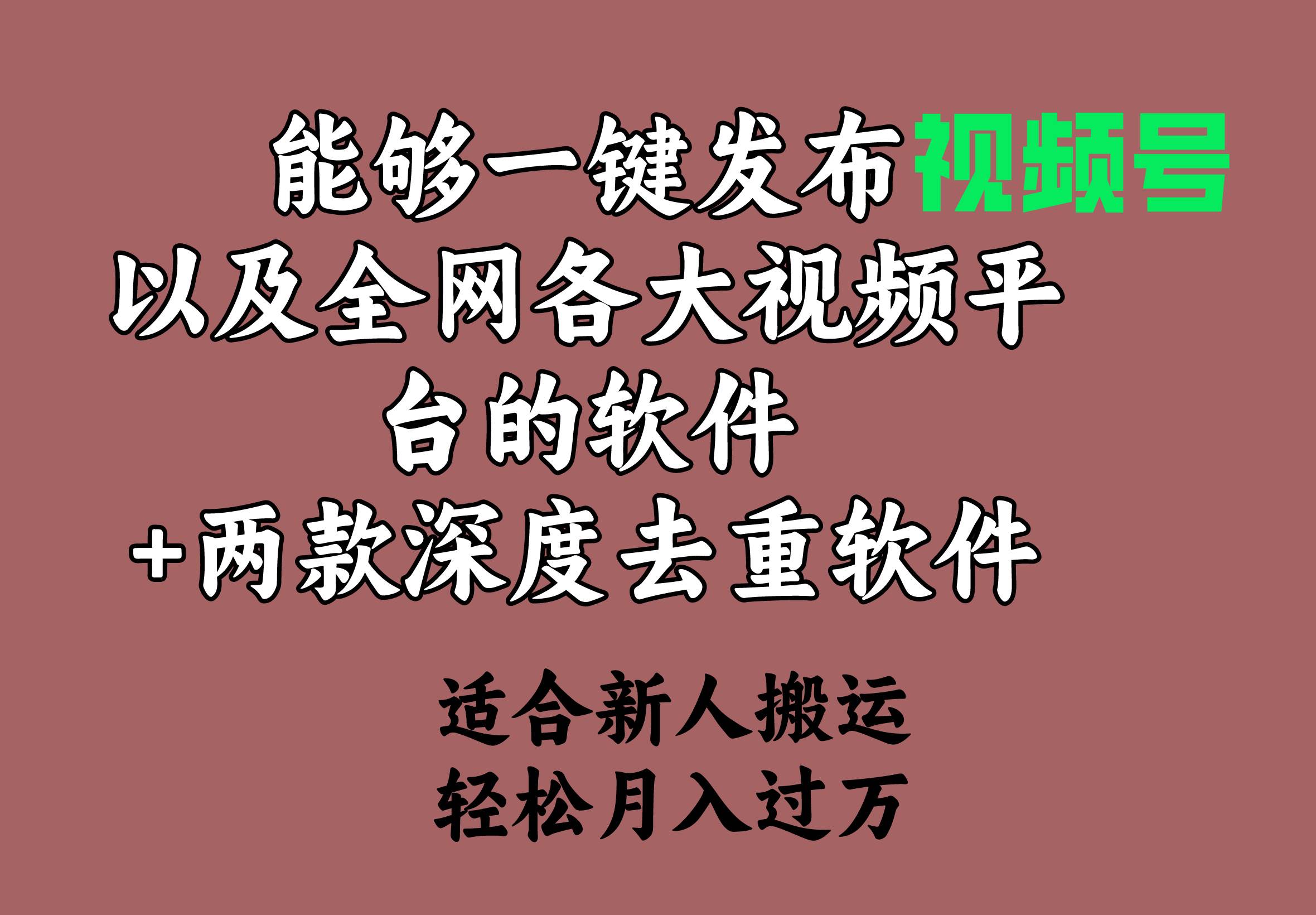 能够一键发布视频号以及全网各大视频平台的软件+两款深度去重软件 适合…创客之家-网创项目资源站-副业项目-创业项目-搞钱项目创客之家