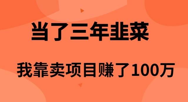 当了3年韭菜，我靠卖项目赚了100万创客之家-网创项目资源站-副业项目-创业项目-搞钱项目创客之家