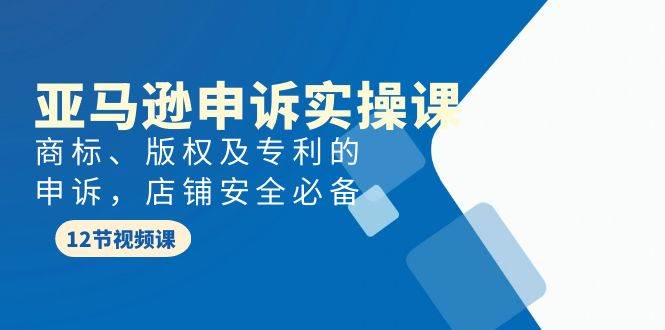 亚马逊-申诉实战课，商标、版权及专利的申诉，店铺安全必备创客之家-网创项目资源站-副业项目-创业项目-搞钱项目创客之家