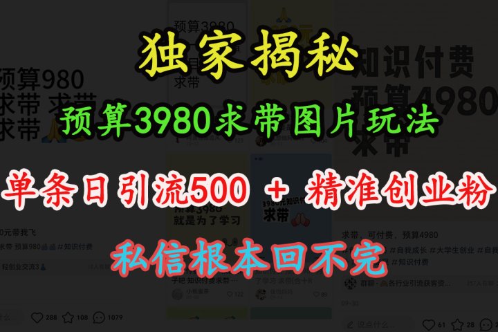 “小红书”预算3980求带 图片玩法，单条日引流500+精准创业粉，私信根本回不完创客之家-网创项目资源站-副业项目-创业项目-搞钱项目创客之家