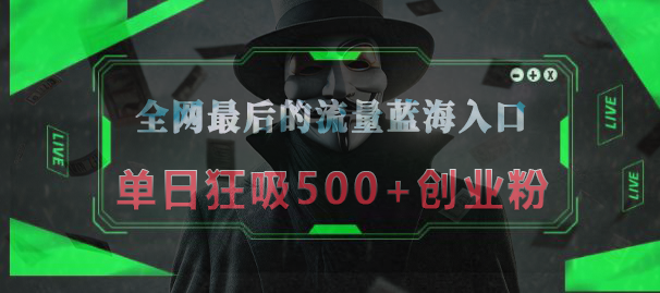 全网最后的流量蓝海入口，半小时引流50+创业粉，单日狂吸500+创业粉创客之家-网创项目资源站-副业项目-创业项目-搞钱项目创客之家
