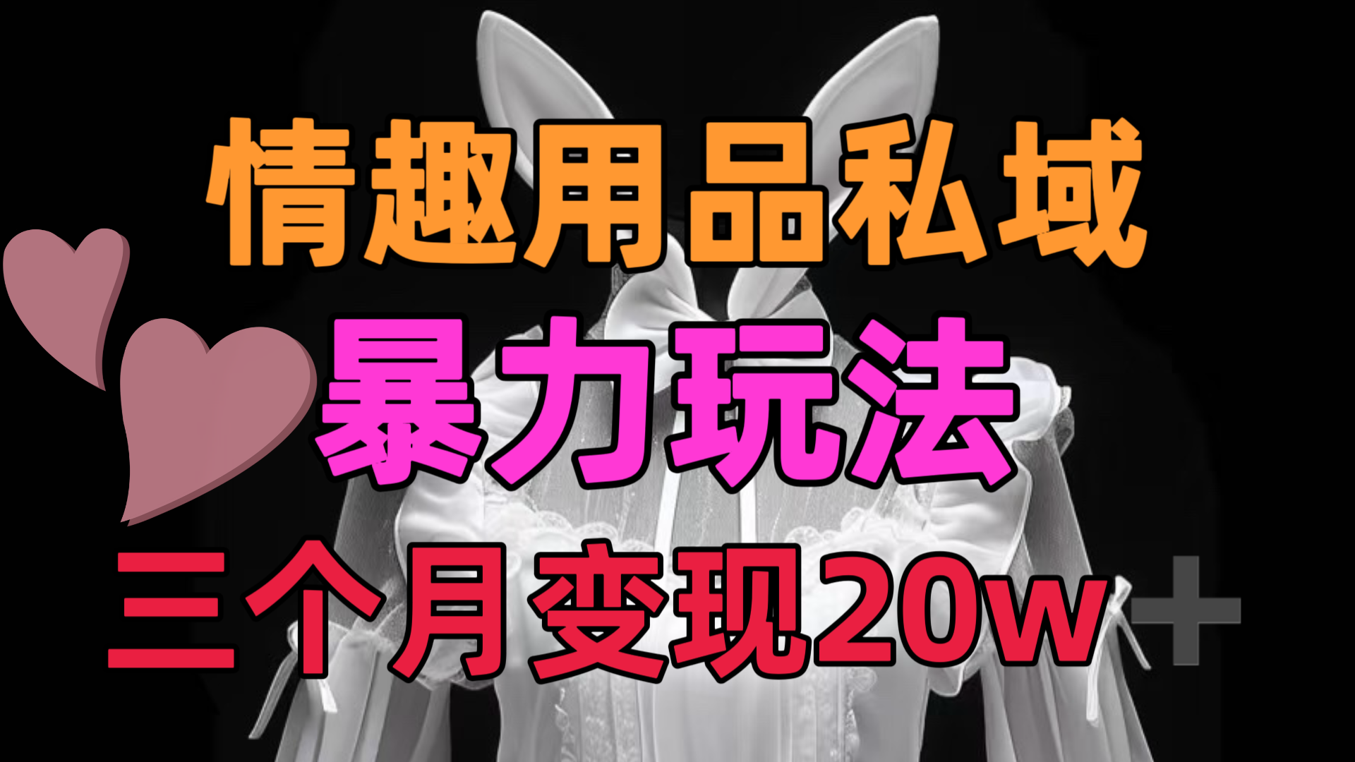 情趣用品私域，25年最新暴力玩法，三个月变现20w➕创客之家-网创项目资源站-副业项目-创业项目-搞钱项目创客之家