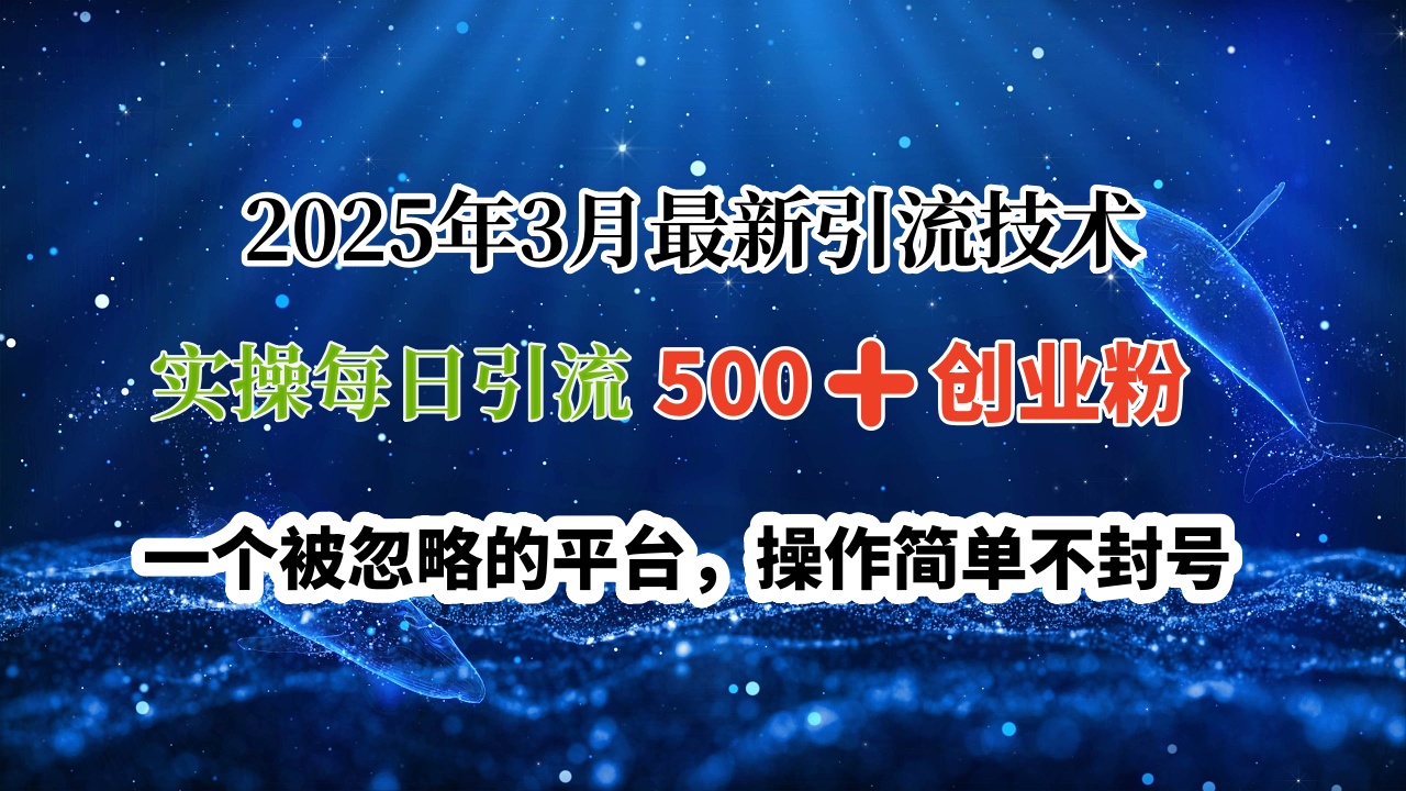 2025年3月最新引流技术，实操每日引流500➕创业粉，一个被忽略的平台，操作简单不封号创客之家-网创项目资源站-副业项目-创业项目-搞钱项目创客之家
